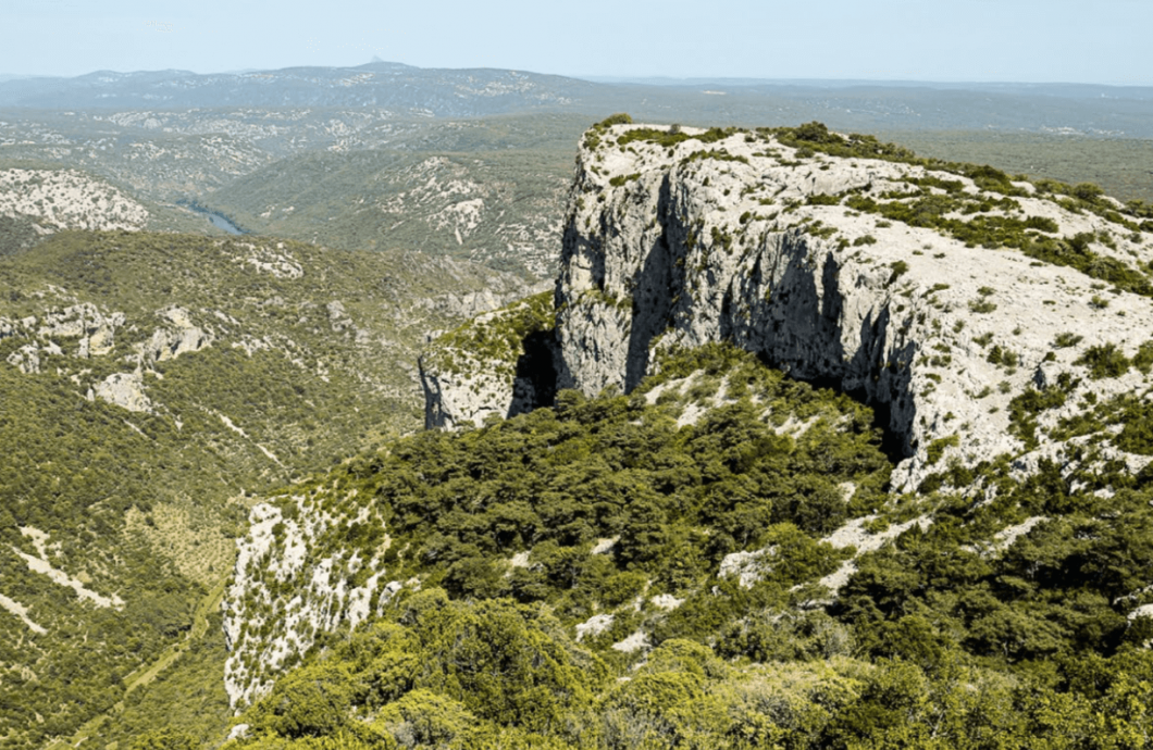 Le Château de Cambous - 8